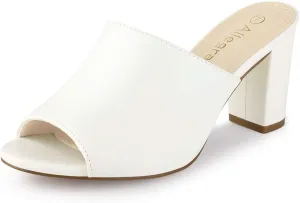 Allegra K Women's Slip on Block Heel Slide Sandals